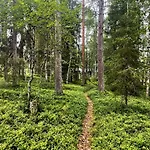 Aurora River Inc Wilderness Sauna *
