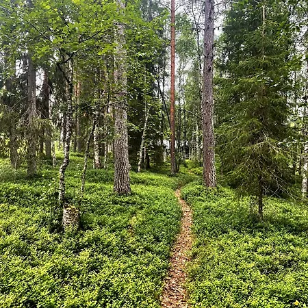 Aurora River Inc Wilderness Sauna *