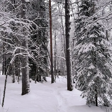 Aurora River Inc Wilderness Sauna Levi