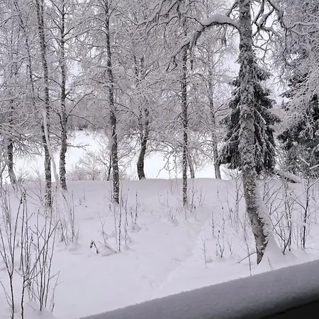 Aurora River Inc Wilderness Sauna Σαλέ