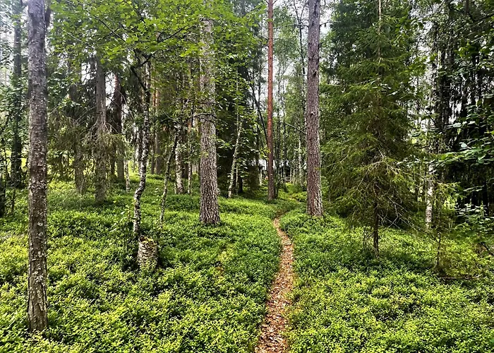 Aurora River Inc Wilderness Sauna *