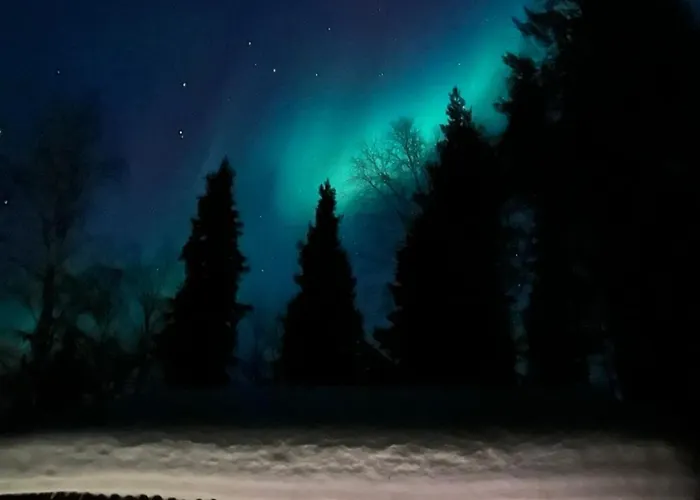 Aurora River Inc Wilderness Sauna