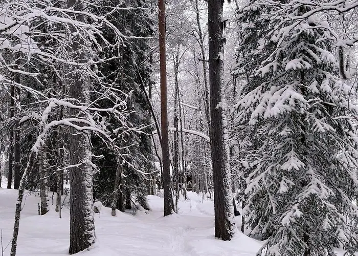 Aurora River Inc Wilderness Sauna Levi