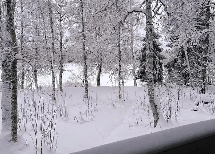 Aurora River Inc Wilderness Sauna Chalet